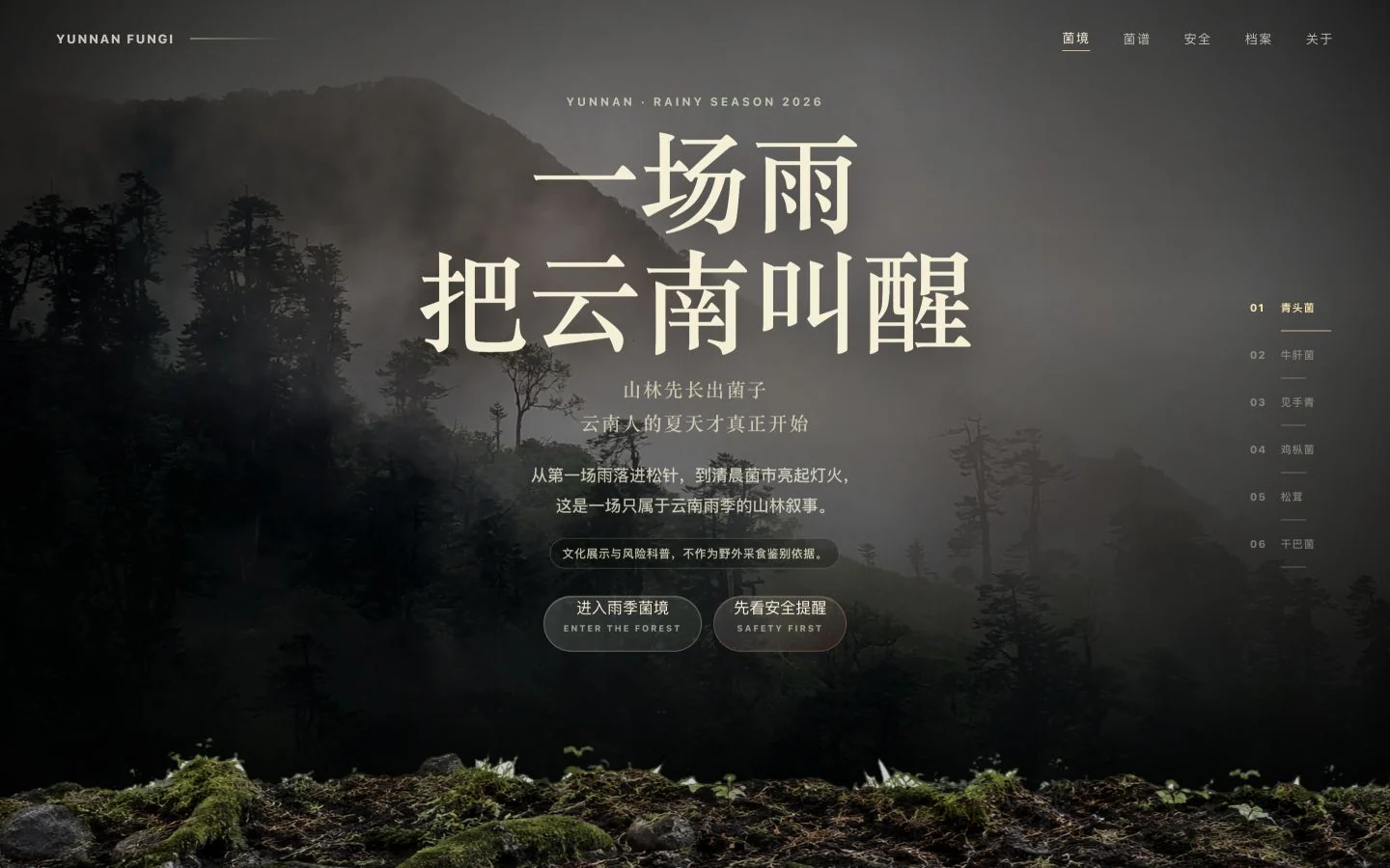 云南野生菌雨季开场页面